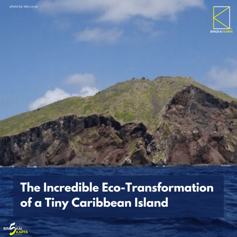 The Incredible Eco-Transformation of a Tiny Caribbean Island